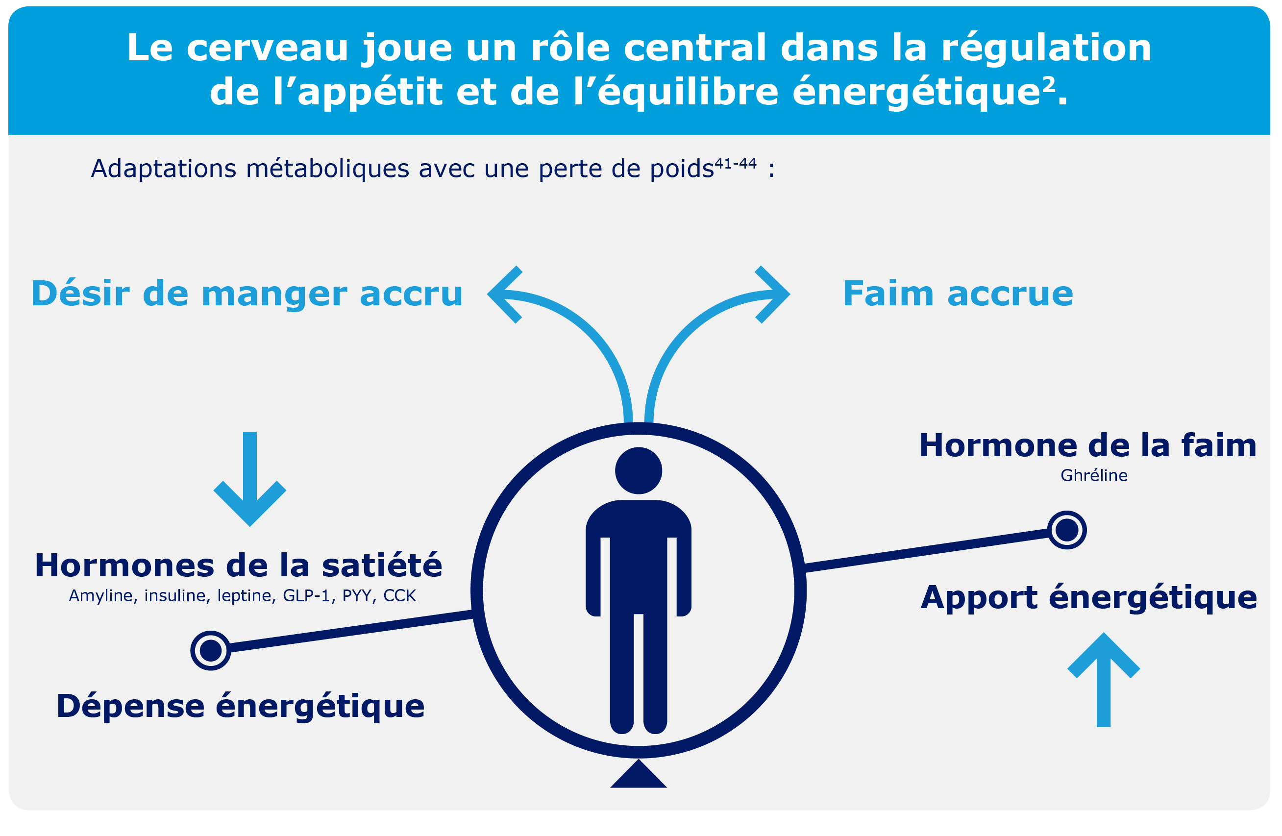 metabolic adaptations to weight loss